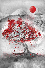 Delphine CLARTE, TAROLOGUE ÉNERGÉTICIENNE