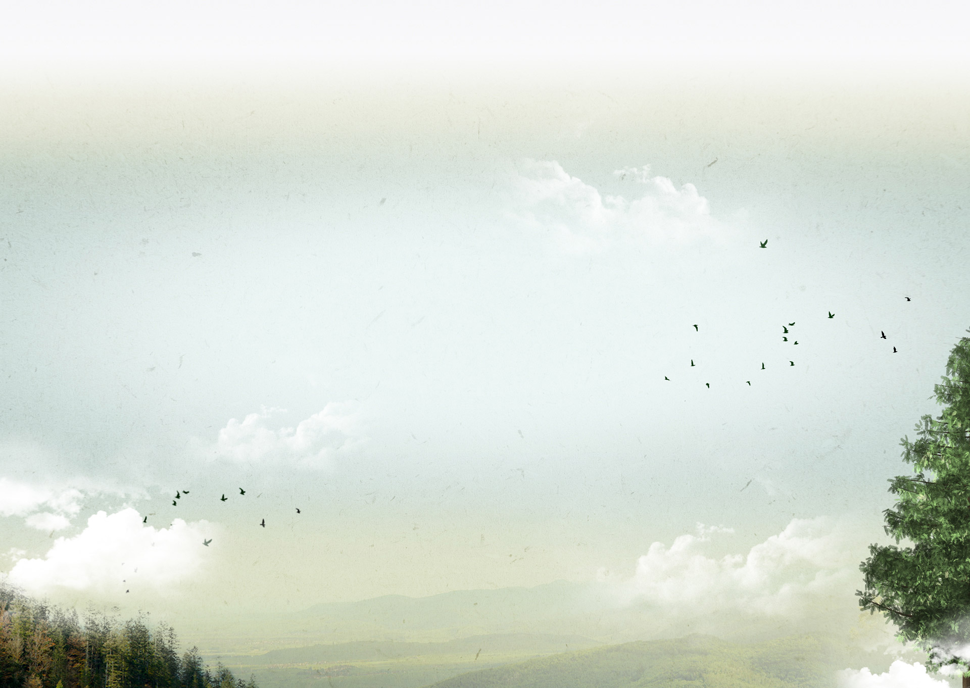 animateur nature, miseauvert