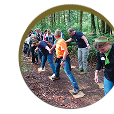 teambuilding, cohésion, tannenwald